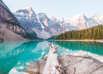 Family Road Trip Essentials: Packing Tips and Tricks