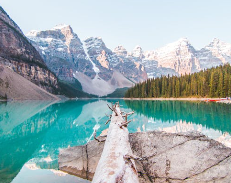 Family Road Trip Essentials: Packing Tips and Tricks