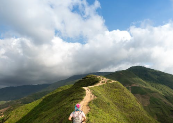 Tech-Savvy Travel: Tips for Using Your Smartphone Abroad