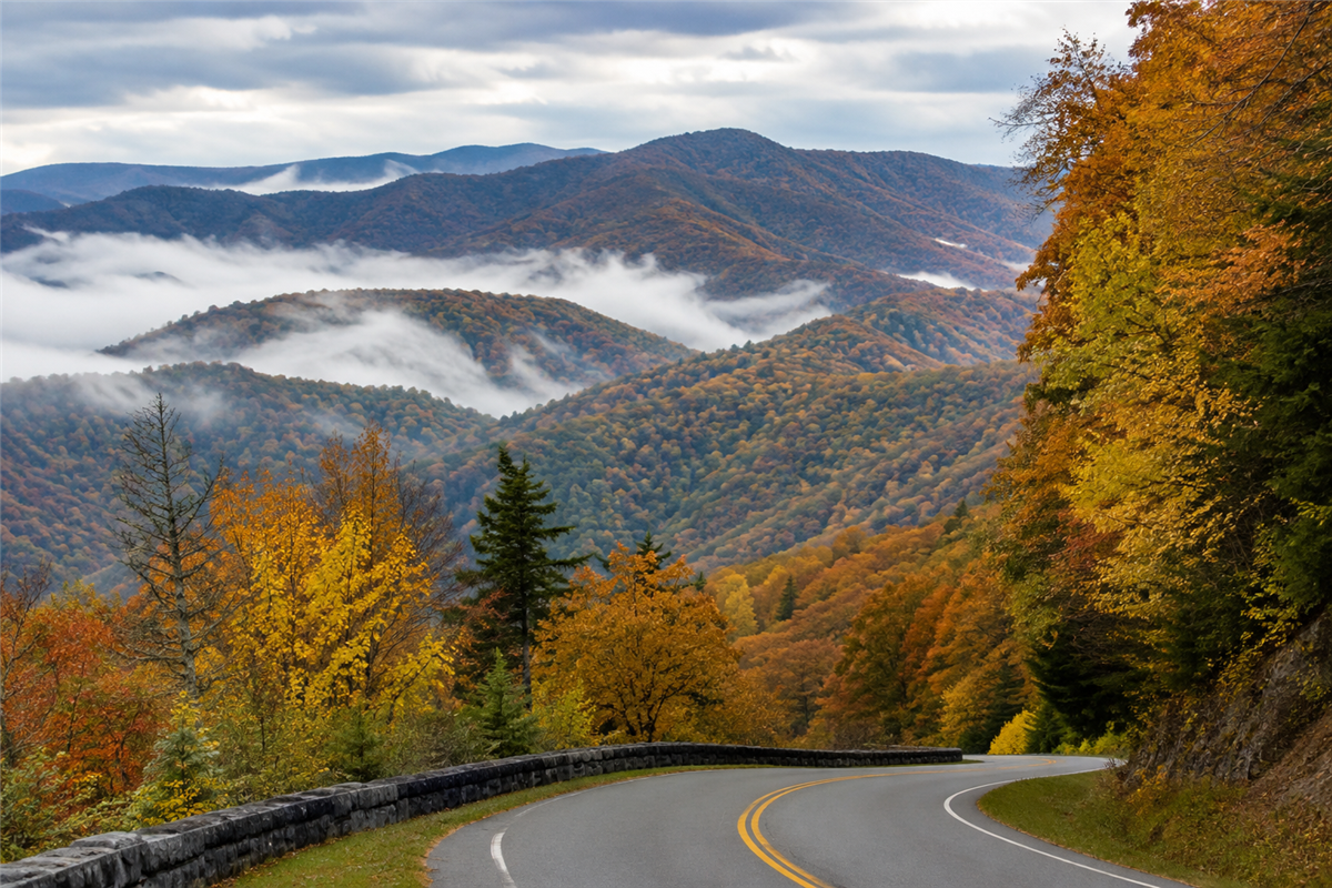 Morning mist and fall foliage in Great Smoky Mountains National Park